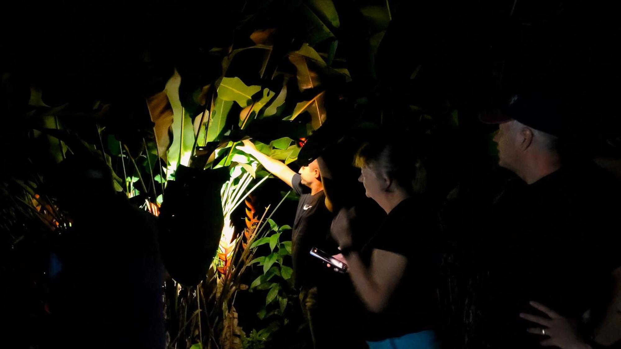 Chalets Silencio Del Bosque La Fortuna Dış mekan fotoğraf