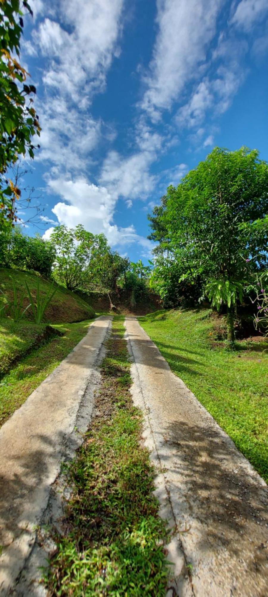 Chalets Silencio Del Bosque La Fortuna Oda fotoğraf