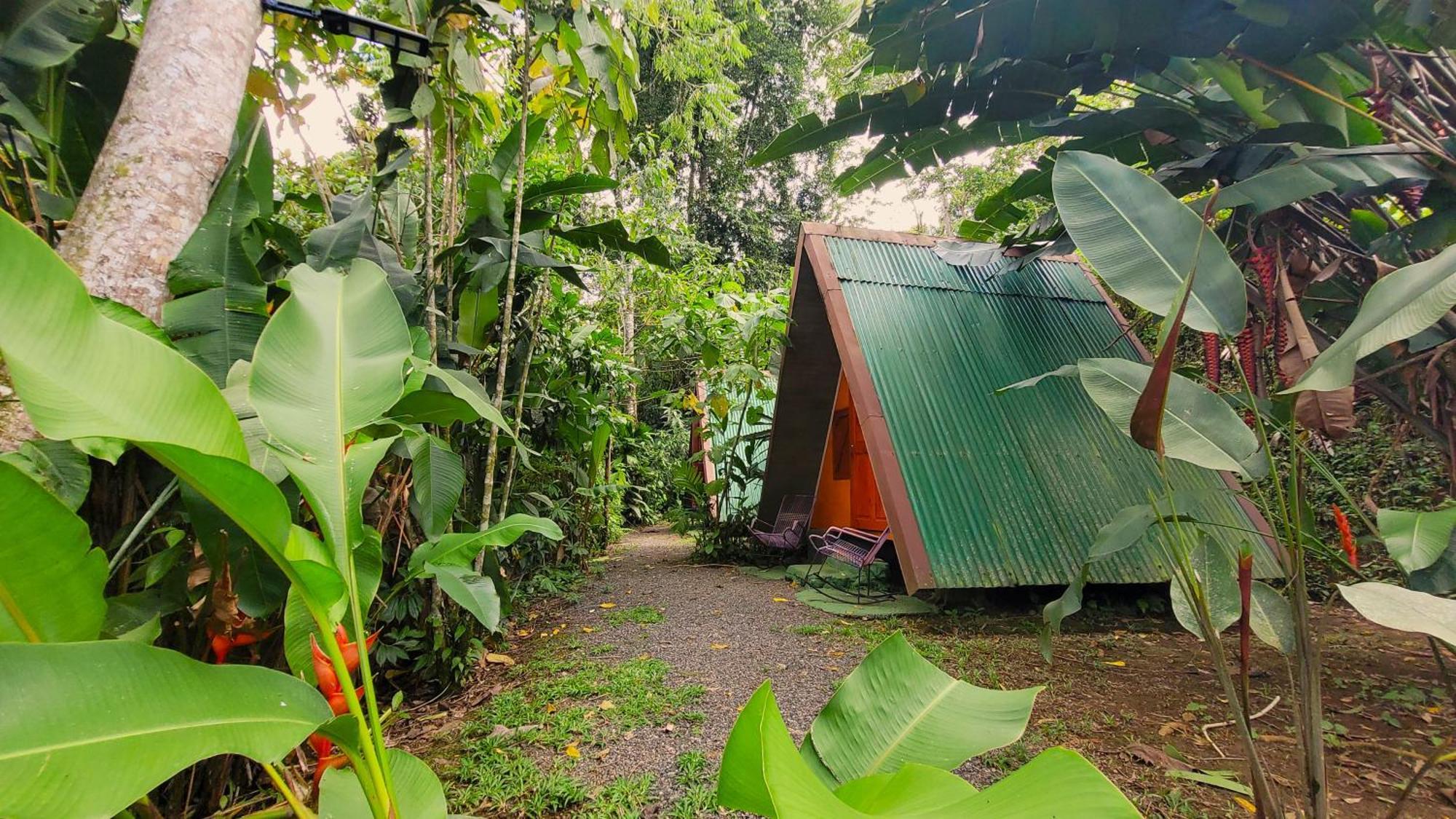 Chalets Silencio Del Bosque La Fortuna Dış mekan fotoğraf